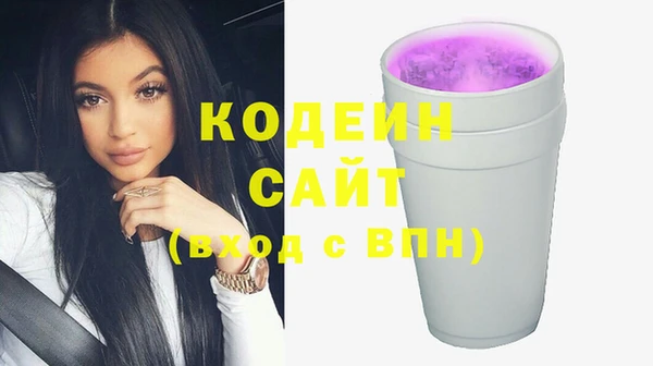 гидра Богородицк