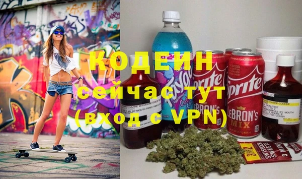 гидра Богородицк
