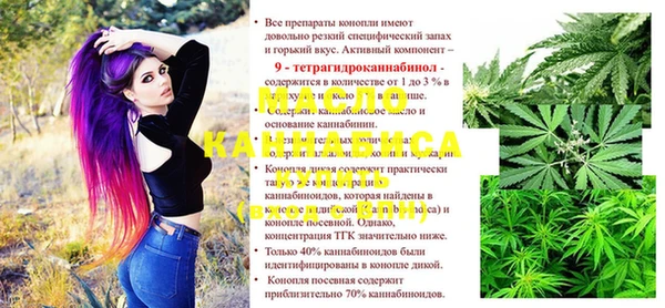 гидра Богородицк