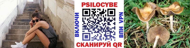 Галлюциногенные грибы мицелий  omg ссылка  Электрогорск  дарнет шоп 